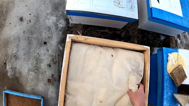 Первое дело после выноса пчёл/можно ли мёд дать в кормушку смотреть онлайн