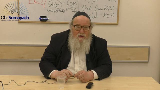 The Laws of Abortion for Jews and Non Jews Part 2 (Harav Yitzchak Breitowitz) (Halacha - Jewish Law смотреть онлайн