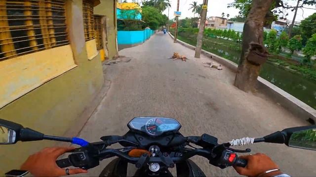 2023 Bajaj Pulsar N250 PROBLEMS ❌? смотреть онлайн