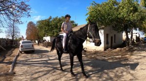 Катаемся на лошадях! прогулка за городом/мы научились кататься?
