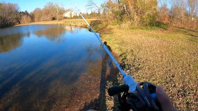 First Fishing Impression: KastKing Valiant Eagle 2 BFS Reel And Centron Lite BFS Rod