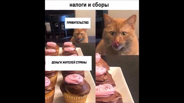 Государство как политический институт смотреть онлайн