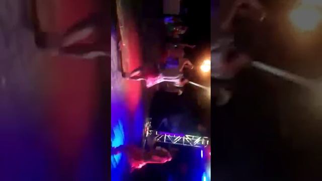 En ceiba palma real смотреть онлайн