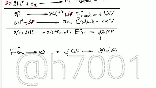 فصل رابع محاضرة 12 حسين الهاشمي