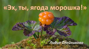 «ЭХ, ТЫ, ЯГОДА МОРОШКА!» Лидия Олейникова