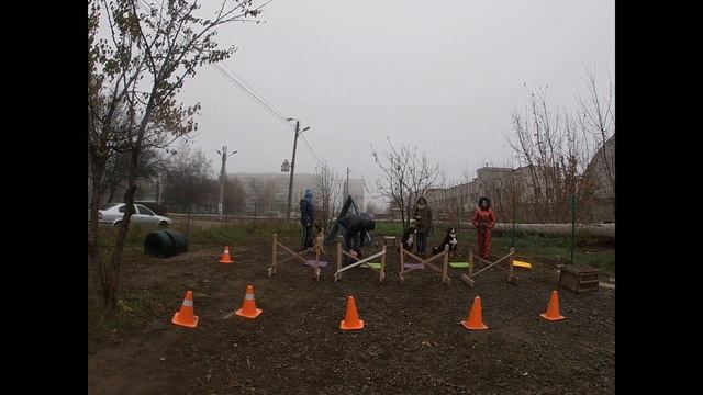 Работаем в группе. Дрессировка видео урок смотреть онлайн