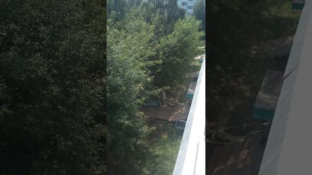 Выбрасывают мусор из окна смотреть онлайн