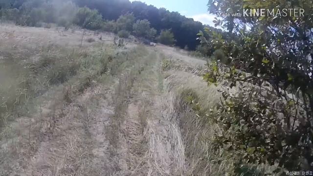 Осенний прохват на питбайке смотреть онлайн