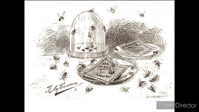 Д. Мамин-Сибиряк "Сказка о том, как жила-была последняя муха" смотреть онлайн