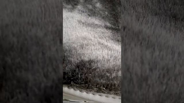 Накидки на сиденья. Premium. Овечья шерсть-искусственный мех (30/70). Avtorombik смотреть онлайн