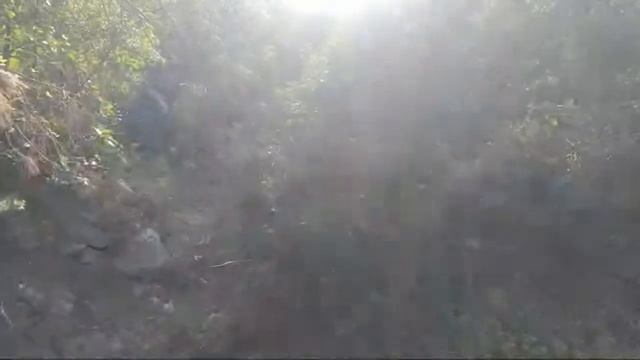 Античная Гамаксия