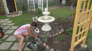 6 соток 30 мая 2023 года. Хроника.