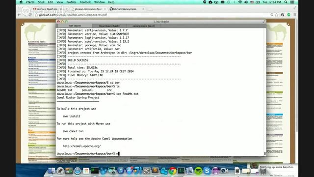 Developer Interviews (DI 2) Claus Ibsen About all Things Camel смотреть онлайн