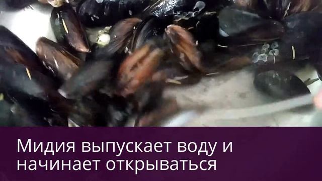 Мидия жаренная. Готовим одесскую Мидию. Просто вкусно! смотреть онлайн