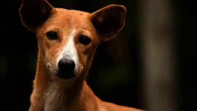 Лучшие русские песни с тв 2015 смотреть онлайн