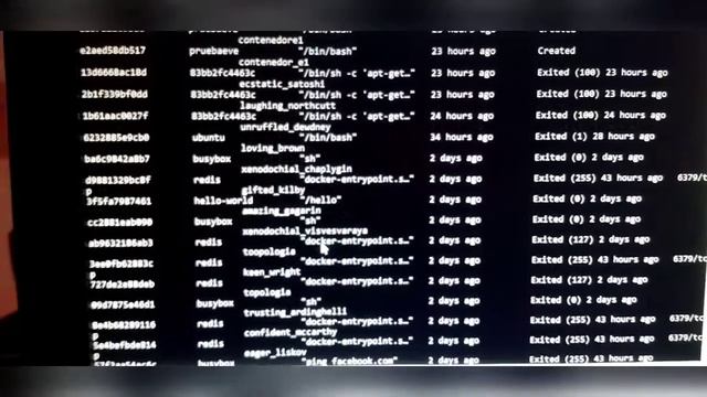DOCKER: CONEXION ENTRE MYSQL Y PHP-APACHE смотреть онлайн