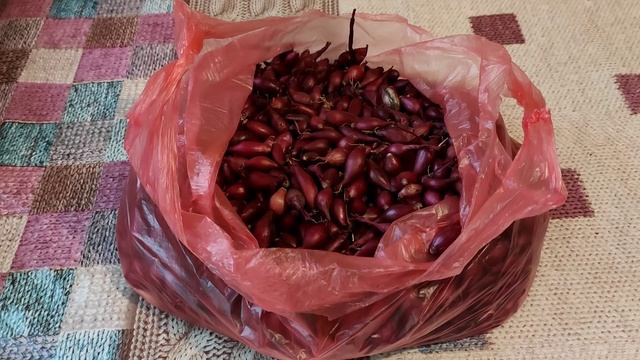 Щоб цибуля не "стріляла" смотреть онлайн