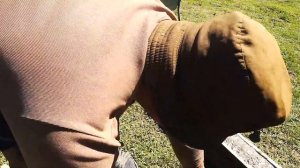 БЕТОННЫЙ СТОЛБ ДЛЯ ШПАЛЕР   3.2 МЕТРА ВСЕГО 150 РУБЛЕЙ...СВОИМИ РУКАМИ!!!