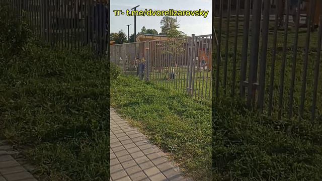 детсадовцы