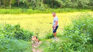 ШЕРЛОК- УЖАСНЫЙ ОХОТНИК. ОПОЗОРИЛ БАТЮ. БРОС ШОУ ПЕТ