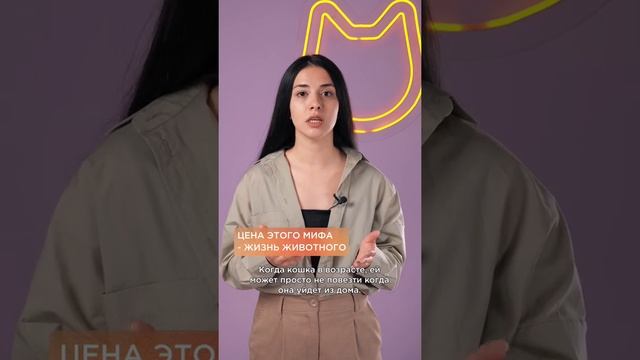 Кошки уходят из дома умирать? #shorts #кошки смотреть онлайн