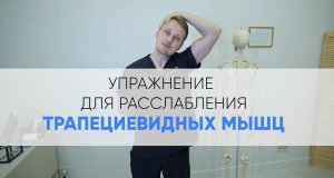 Расслабляем трапециевидную мышцу - освобождаем напряженные плечи и избавляемся от головной боли