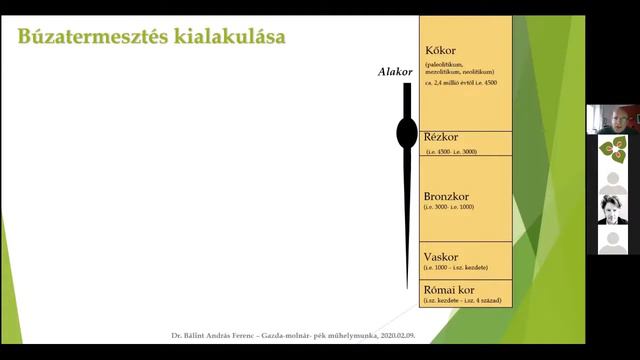 Dr. Bálint András, agrárkutató: Gabonáink eredete, archeobotanika - avagy mit termesztettek őseink? смотреть онлайн