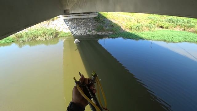 Ловля Сазана на Ружьё- рогатку, Рыбалка с рогаткой, Slingshot hunting. смотреть онлайн