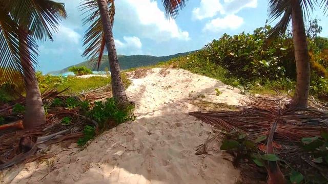 Trail to Flamenco beach Culebra смотреть онлайн