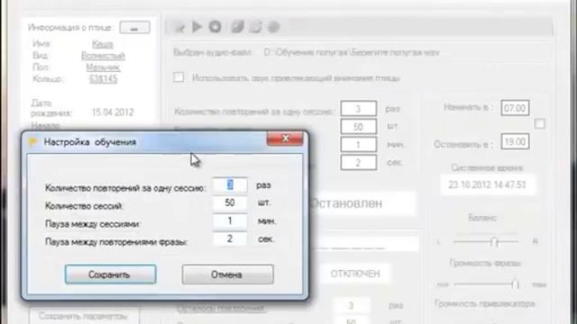 Программа для обучения попугая разговору. смотреть онлайн