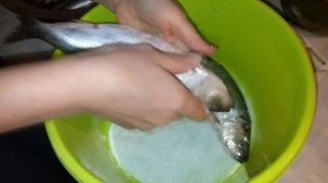 Керченская сельдь // Как вкусно посолить селедку в домашних условиях