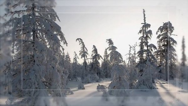 Елена Ваенга - Тайга