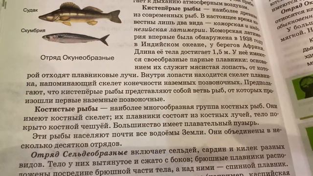 Биология/7 кл/Тихонова/Класс Костные рыбы/28.02.22 смотреть онлайн