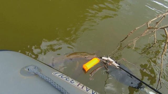 Всё-таки они её позвали... Тетя щука пришла. Кия. Джиг. смотреть онлайн