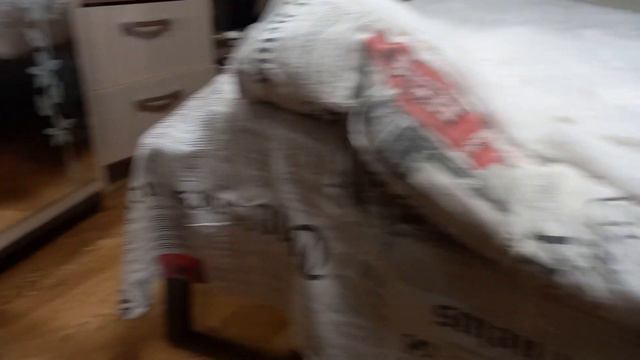 Котики любят играть!И спать!/Cats Love To Play! And Sleep! #смешныекоты #funnycats #кошкииграют #ca