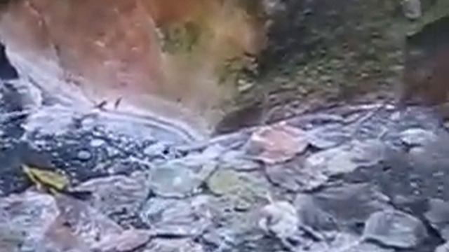 cолёный родник смотреть онлайн