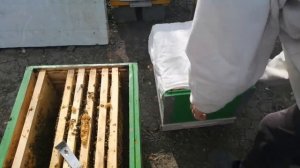 Расширение вторым корпусом-способом дупла 18 04 2020г.