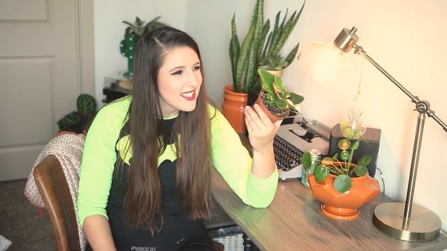 Heart Leaf Fern (Hemionitis Arifolia) Plant Care Guide For Beginners