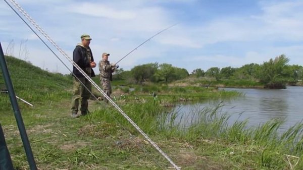 Ловим сазана в ветренную погоду.