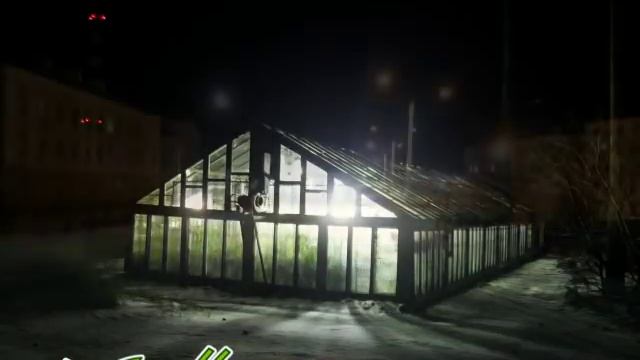 Ночной Никель new смотреть онлайн