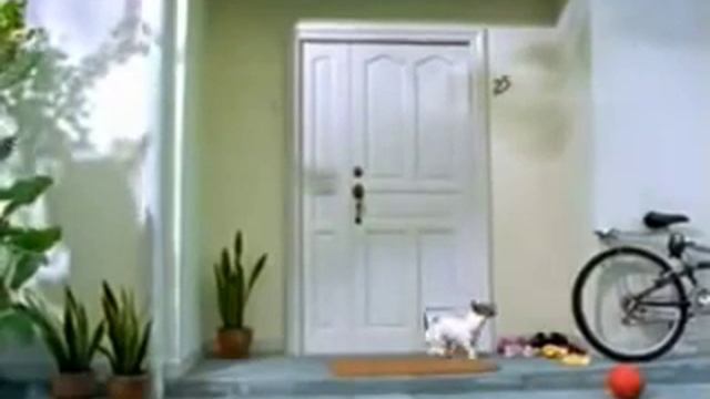 1 собака пришла домой. домой? смотреть онлайн