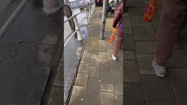 #sealife #antwerpen #belgium #2023