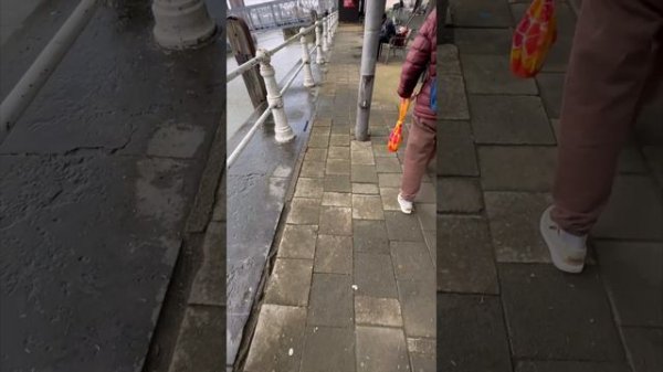 #sealife #antwerpen #belgium #2023