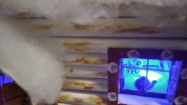 Новогодние чудеса. смотреть онлайн