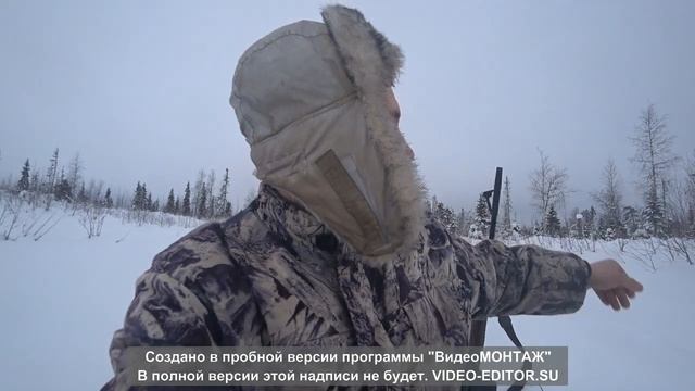 Охота на лося 2021 год 1 день смотреть онлайн