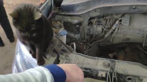 Диагностика KIA sorento)))