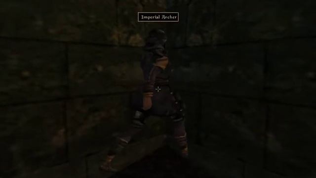 Morrowind Low Iq Archer Walking Into Walls