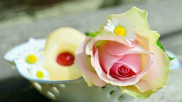 100 Beautiful Roses ? 4K Video with Rose Flower ? смотреть онлайн