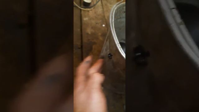 Ниссан AD смотреть онлайн