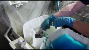 гальваника для бизнеса